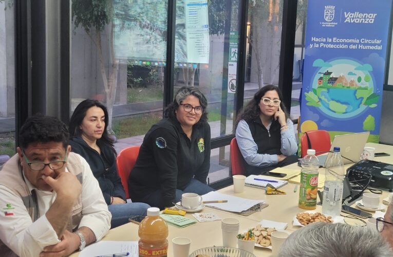 Alcalde de Vallenar Participa en Reunión de Mesa de Gobernanza para Intervención en Humedal Urbano