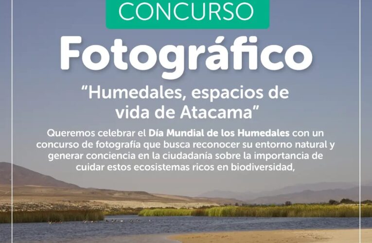 Seremi (S) del Medio Ambiente lanza concurso de fotografía para celebrar el mes de los Humedales